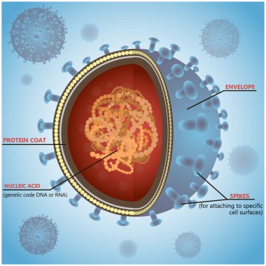 Blue virus cells or bacteria on background. Vector illustration clipart