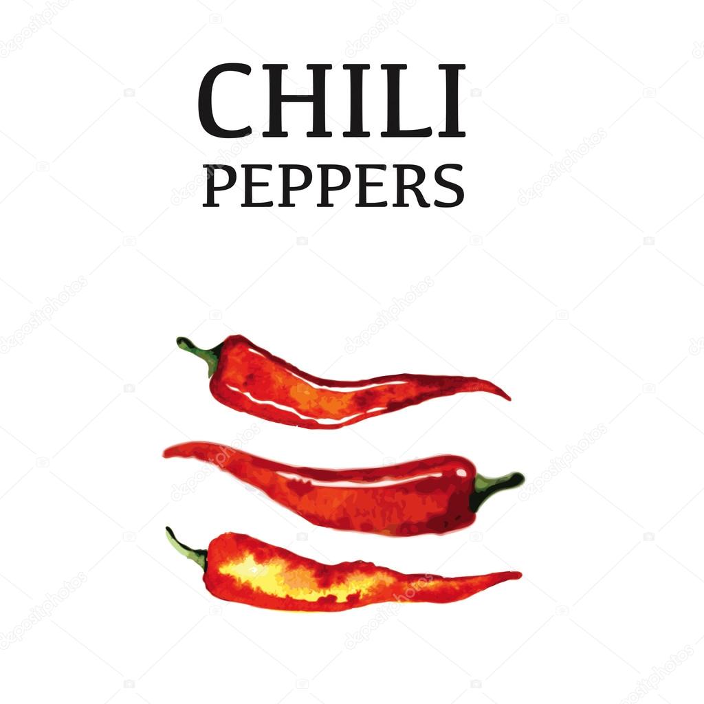 Red chili pepper isolated poster on white background. Healthy organic food. Vector illustration.