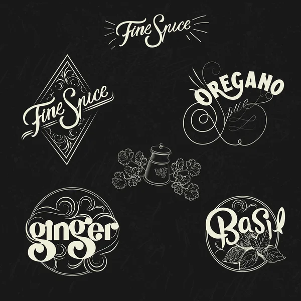 Spice logo set in vintage style. Retro hand drawn spice logotypes collection. — Stock Vector