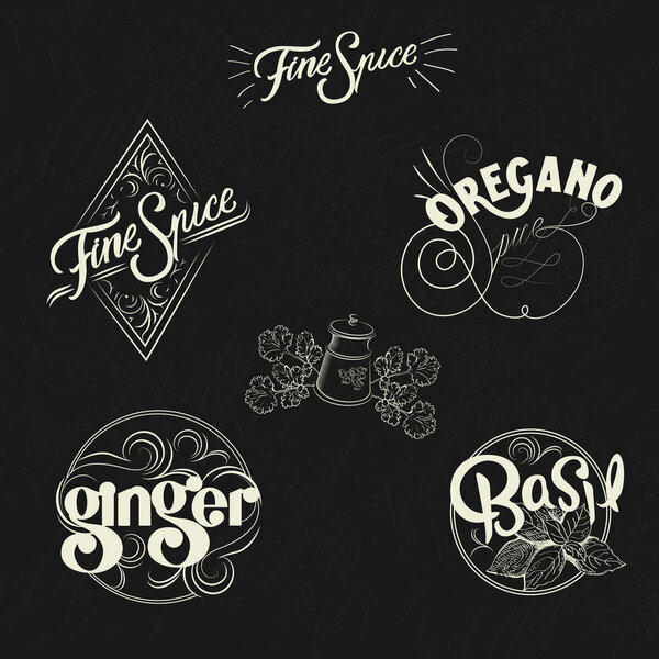 Spice logo set in vintage style. Retro hand drawn spice logotypes collection.