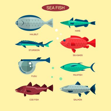 Fish vector set in flat style design. Ocean, sea and river fishes icons collection. Salmon, fugu, bass, sturgeon