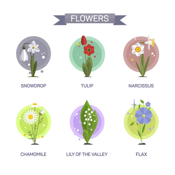 Flowers vector set isolated on white background. Illustration in flat style design. Icons and emblems — Stock Vector