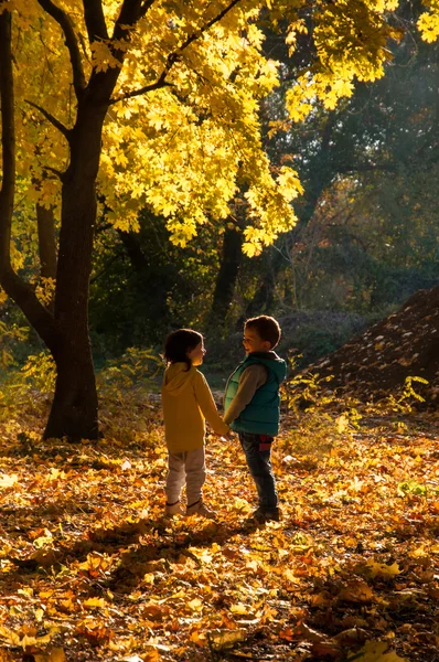 Szczęśliwe dzieci spaceru w parku jesień — Zdjęcie stockowe
