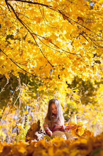 Niña sentada en un tronco en el parque de otoño —  Fotos de Stock
