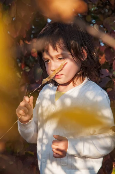 Soñadora niña mantener tallo de hierba cerca de la nariz —  Fotos de Stock