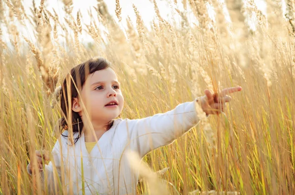 Mała dziewczynka wyrywa spikelets trawy w dziedzinie — Zdjęcie stockowe