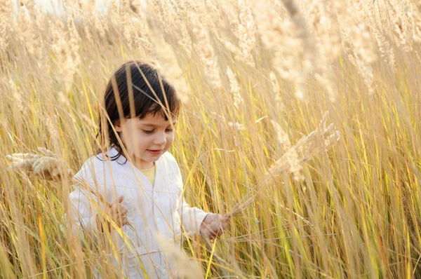 Mała dziewczynka idzie na polu — Zdjęcie stockowe