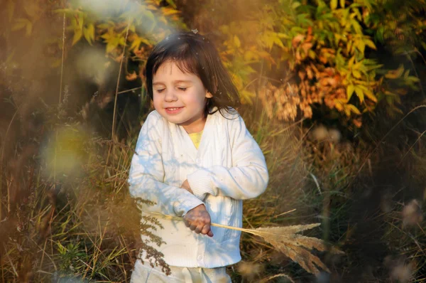 Mała dziewczynka szczęśliwy na słońcu — Zdjęcie stockowe