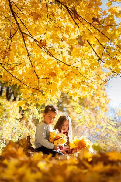 Nadenkend kinderen sittin op een log in de herfst park — Stockfoto