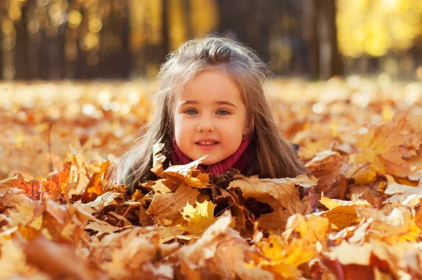 Mooi meisje ligt in esdoorn bladeren — Stockfoto