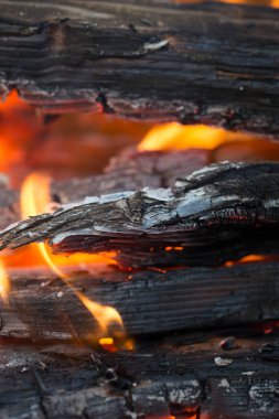 Siyah yanık ahşap hala yanıyor. Ormanı yakıp kül eden alevler. Ateş odunu yok ediyor