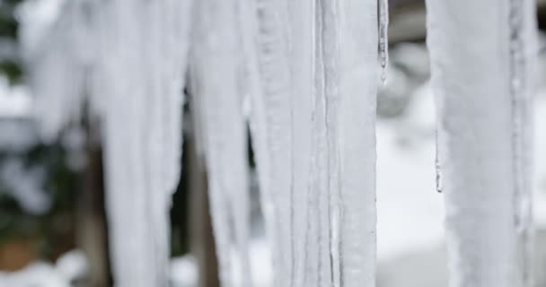 Красивые Сосульки Тают Зимой Повышения Температуры Холодное Время Года Альпах — стоковое видео