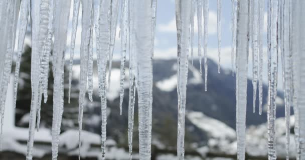 Fonte Des Glaces Haute Température Hiver Réchauffement Climatique Provoque Fonte — Video