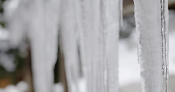 Focus Pull Icicles Dripping Cena Inverno Nos Alpes — Vídeo de Stock