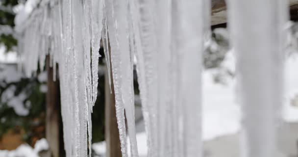 Belos Icicles Derretendo Inverno Devido Aumento Temperatura Durante Estação Fria — Vídeo de Stock