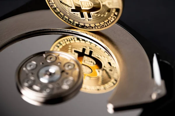 Altın bitcoin sabit disk depolama tabağına yansıyor. Dijital kripto para birimi ve blok zinciri teknolojisi kavramı