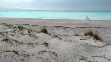 Kumsaldaki çimenler, Akdeniz 'in Turkuaz suları arka planda.