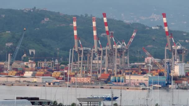 Spezia Italië Juni 2021 Containerkranen Vrachthaven Spezia Aanmeren Van Containers — Stockvideo
