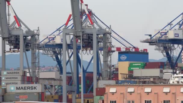 Спеція Італія Червня 2021 Cargo Crane Lifting Loading Container Вантажному — стокове відео