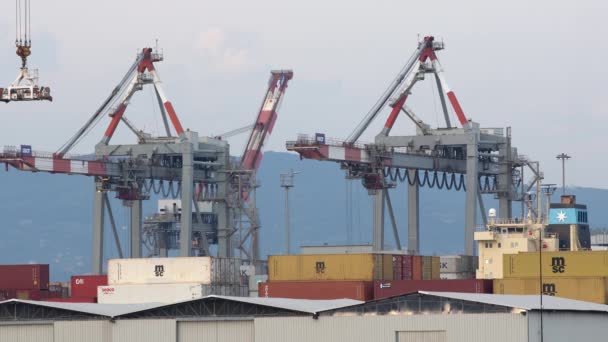 Spezia Italy June 2021 Container Crane Working Unloading Container Ship — Stock Video