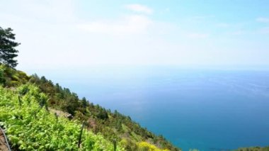 Cennet 'in güzel manzarası. İtalya 'da Cinque Terre. Önplanda Akdeniz ve bağcılık