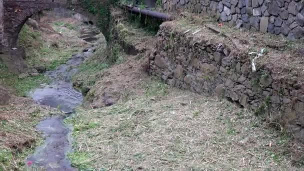 イタリアのマナローラ 6月11日 2021 チンクテレのManarolaの小さな川で草を切る — ストック動画