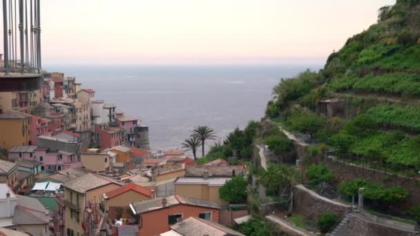 Manarola Itálie Června 2021 Pohled Střechy Manaroly Cinque Terre Středozemním — Stock video