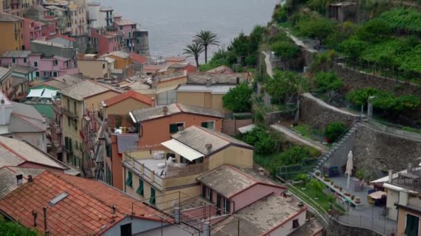 Манарола Італія Червня 2021 Красиве Середземноморське Місто Сінке Терре Нахиляючись — стокове відео