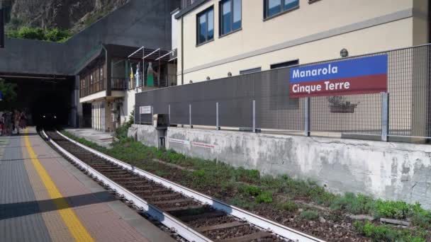 Manarola Italy June 2021 Train Approaching Train Station Manarola Manarola — Stock Video