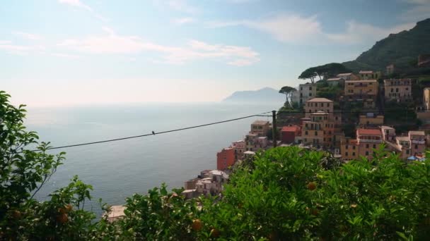 Riomaggiore Cinque Terre Bela Vista Cidade Mar Mediterrâneo Partir Terraço — Vídeo de Stock