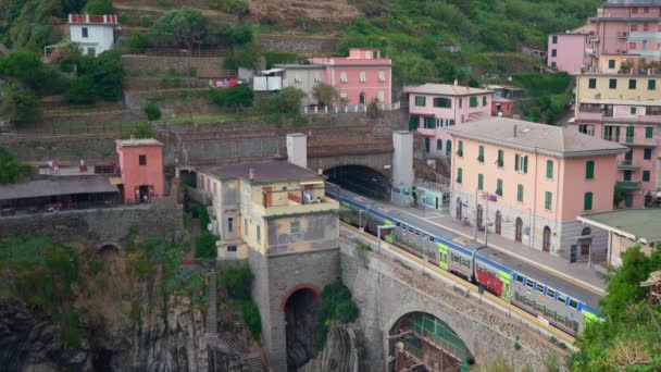 Riomaggiore Włochy Czerwca 2021 Trenitalia Odjeżdża Dworca Kolejowego Cinque Terre — Wideo stockowe