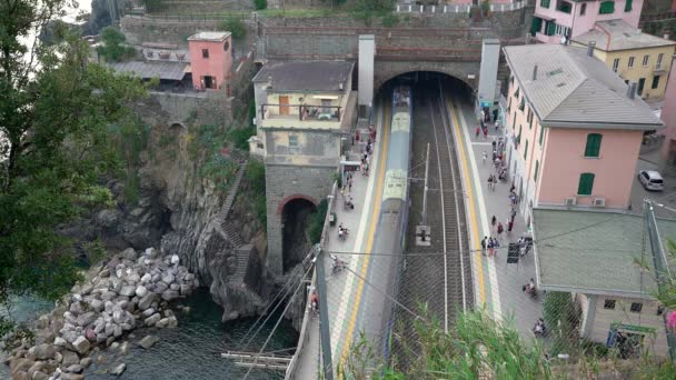 Riomaggiore Włochy Czerwca 2021 Trenitalia Passenger Train Wchodzi Dworzec Kolejowy — Wideo stockowe