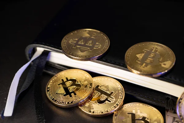 Deri ciltli kitabın üstünde altın Bitcoin paralar. Kripto para defteri kavramı