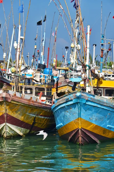 Sri lanka, nautisches Schiff, — Stockfoto