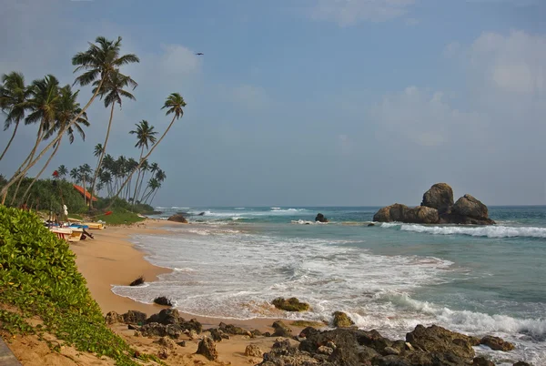 Stranden, havet, solen, sanden, paradise, palm — Stockfoto