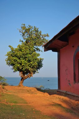 Deniz, ağaç, ev,