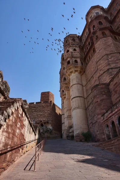 Blue city, Índia, Jodhpur, Mehrangarh Fort , — Fotografia de Stock