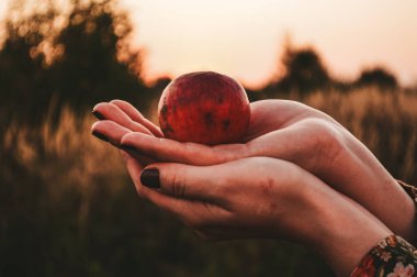 Bir sonbahar tarlasının arka planında bir kadın elinde bir demet üzüm.