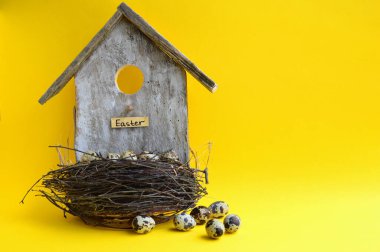 Sarı arka planda dekoratif Paskalya kuş evi. Bıldırcın yumurtalı bir yuva. Paskalya kartı. Bahar arkaplanı