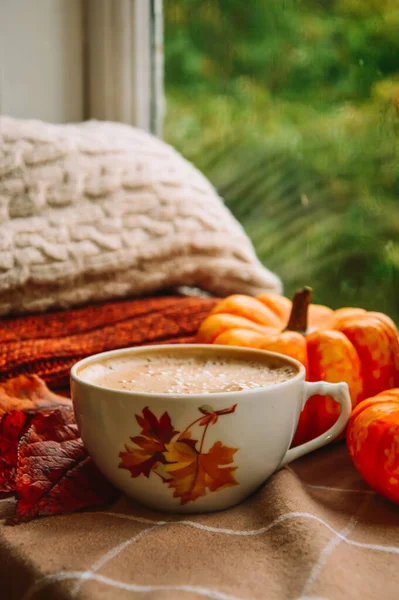 Cup Cappuccino Coffee Orange Pumpkins Knitted Brown Clothes Windowsill Warm — Stock Photo, Image
