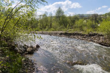 Dağ nehir hızlı akış