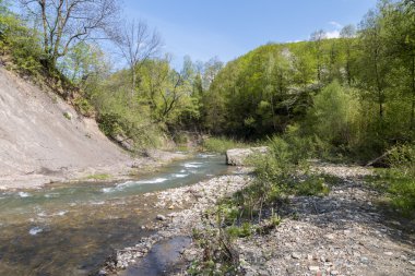 Dağ nehir hızlı akış