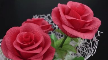 Bir gül dalını göstermek için romantik, yavaş bir hareket. Bu siyah kavramında kırmızıdır..