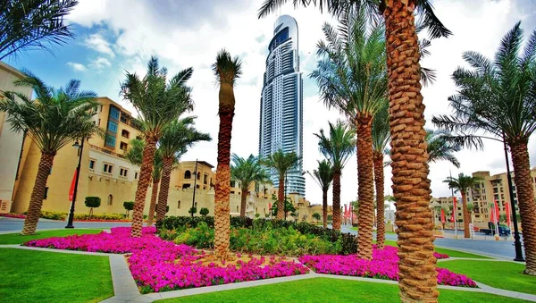 Dubai, Marina ve şehir manzarası gökdelenler, şehir silüeti, eski şehir ve palmiye ağaçlı kumlu plajlar 