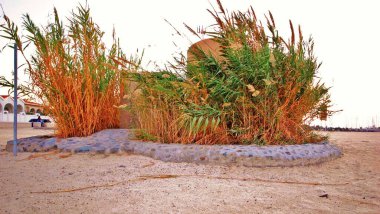 Dubai, kumlu plajlar, dönüm noktası, deniz ve kum. 