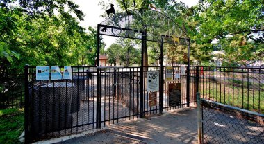 Washington D.C., şehir manzarası, ağaçlar, evler, parklar, katedral ve simgeler. 