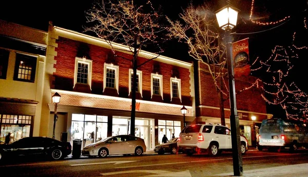 Washington DC, şehir manzarası, parklar ve evler, çiçekler 