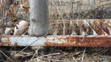 Stairs covered with rust, abandoned 