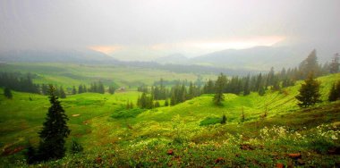 Güzel dağlarda ve şehirlerde motosiklet gezisi 