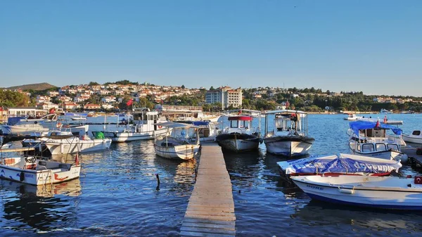 Vue Sur Mer Égée Avec Belles Vues Panoramiques Fleurs Arbres — Photo